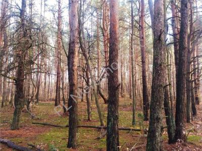 Działka na sprzedaż Warszawa Wawer