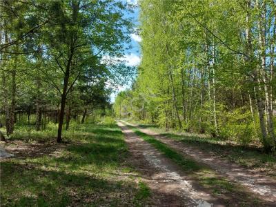 Działka na sprzedaż Lipowo