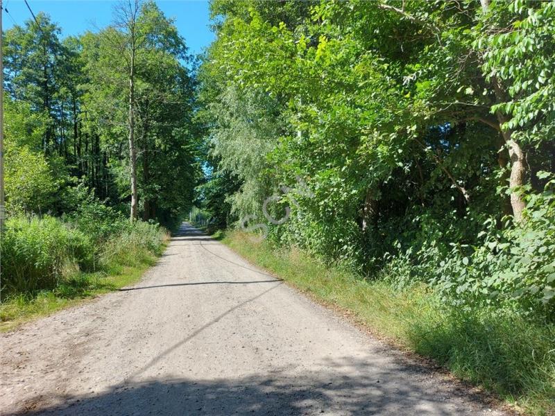 Działka na sprzedaż Pęclin