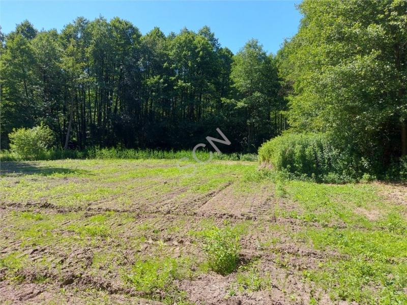 Działka na sprzedaż Pęclin