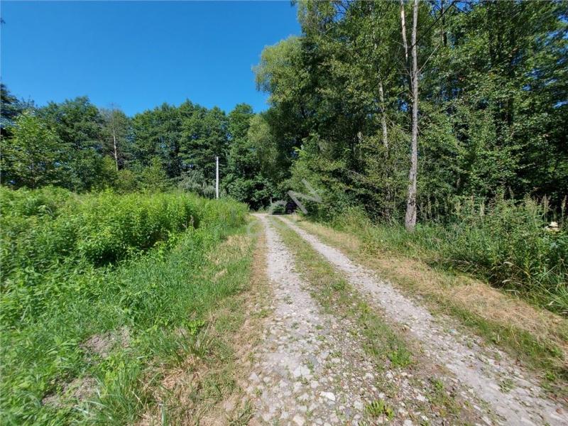 Działka na sprzedaż Pęclin