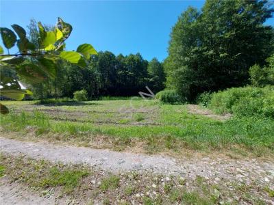 Działka na sprzedaż Pęclin