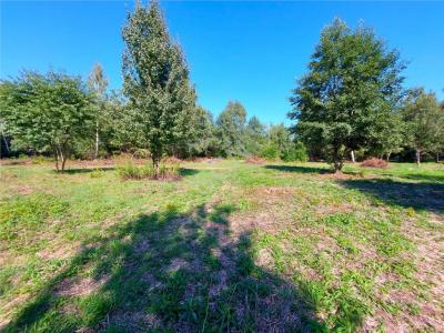 Działka na sprzedaż Dziechciniec