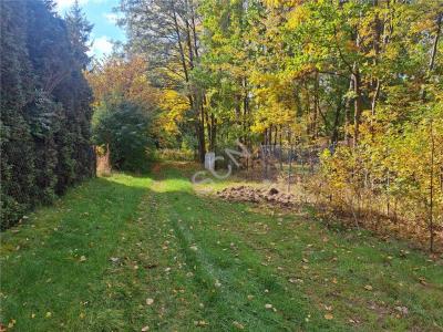 Działka na sprzedaż Lipowo