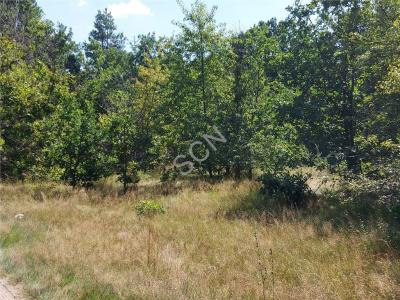 Działka na sprzedaż Zakręt