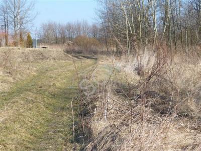 Działka na sprzedaż Dziecinów