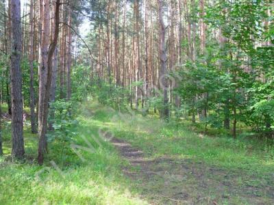 Działka na sprzedaż Wołomin