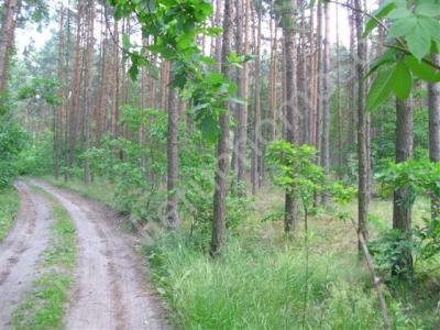 Działka na sprzedaż Kobyłka